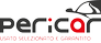 Logo Pericar di Giacomo Perissinotto